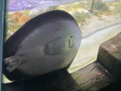 -嘉兴海底世界