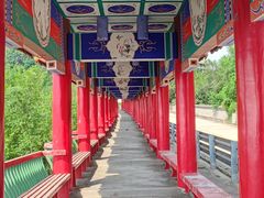 -蟒山国家森林公园-停车场