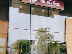 -喜马拉雅森HIMALAYAN FOREST