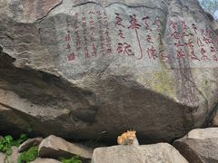 -泰山风景名胜区