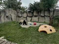 -上海野生动物园