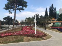 -荔枝公园-小平画像广场