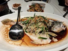 清蒸黄鱼-潮粤香海鲜酒楼(沙湖店)