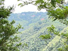-莫干山风景区