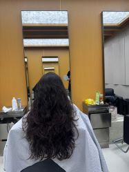 -东方麒麟·潘多拉SALON