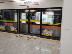 -杨高南路(地铁站)