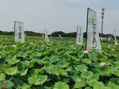 -嘉北郊野公园