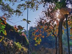 -火炉山森林公园