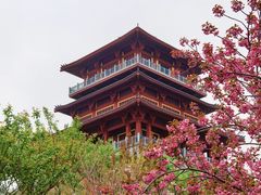 -古柏渡飞黄旅游区