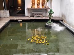 -觀芷隐轩