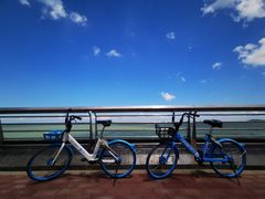-野狸岛
