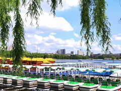 -长春市南湖公园