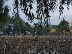 -四川大学(望江校区)