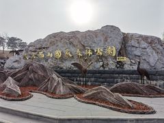 -北京西山国家森林公园