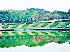 -东莞植物园