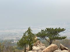 -北京鹫峰国家森林公园