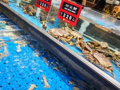 -炊江南·上海菜(国展华漕店)