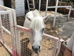 -金庭庄园酒店-停车场