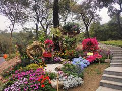-广州市白云山风景名胜区