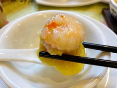 -点都德(千灯湖环宇城店)