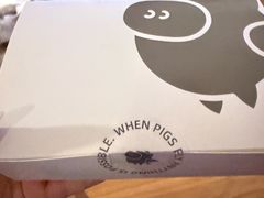 -WHEN PIGS FLY当猪飞
