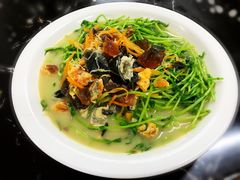 上汤双蛋鲜菜苗-新会鲜蚝鸡煲(新会总店)