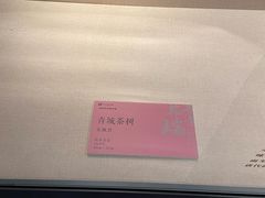 -四川美术馆
