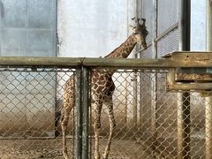 -石家庄市动物园