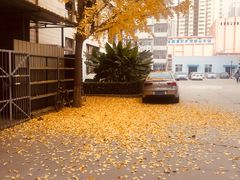 -金龙咖喱