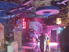 -烟台海昌鲸鲨海洋公园