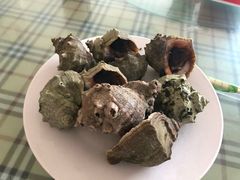 海螺-常家活海鲜小吃(仅一家无分店)