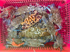 -众味海鲜大排档·活海鲜·潮汕味(南澳店)