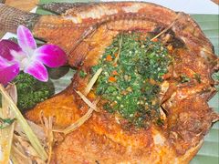 -紫滇源云南生态菜(丹凤街店)