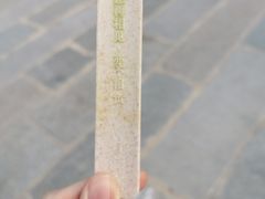 -钟薛高(南头古城店)