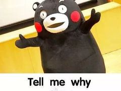 -SAYScake善食感戚风蛋糕(临江大道店)