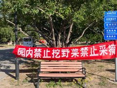 -太阳宫公园