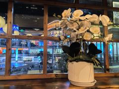 -鸟鹏烧鸟居酒屋(仁恒梦中心店)