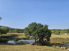 -钟山体育运动公园