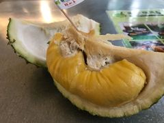 -都念榴莲·城市榴莲