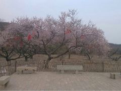 蒙山大佛-蒙山大佛景区