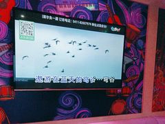 -金青果甄选KTV(劳动公园店)