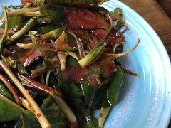 侧耳根-川外川(星海店)