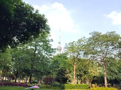 -文华公园(禅城区)