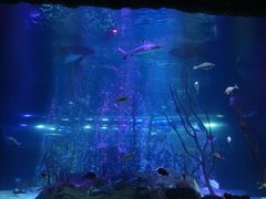 -沈阳海洋探索中心