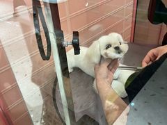 -FAELING PETS美天灵宠物(合生汇店)