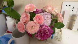 -壹加壹医疗美容·轻医美·美容外科