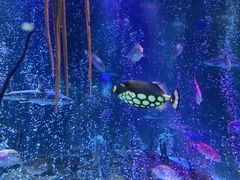 -沈阳海洋探索中心