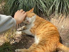 -杭州上天竺法喜讲寺