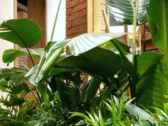 -园里火锅(仁和新城店)