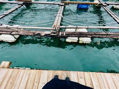 -罗源湾8号渔排